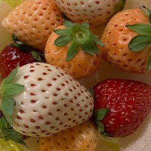 Meet your Posher, Miyeong